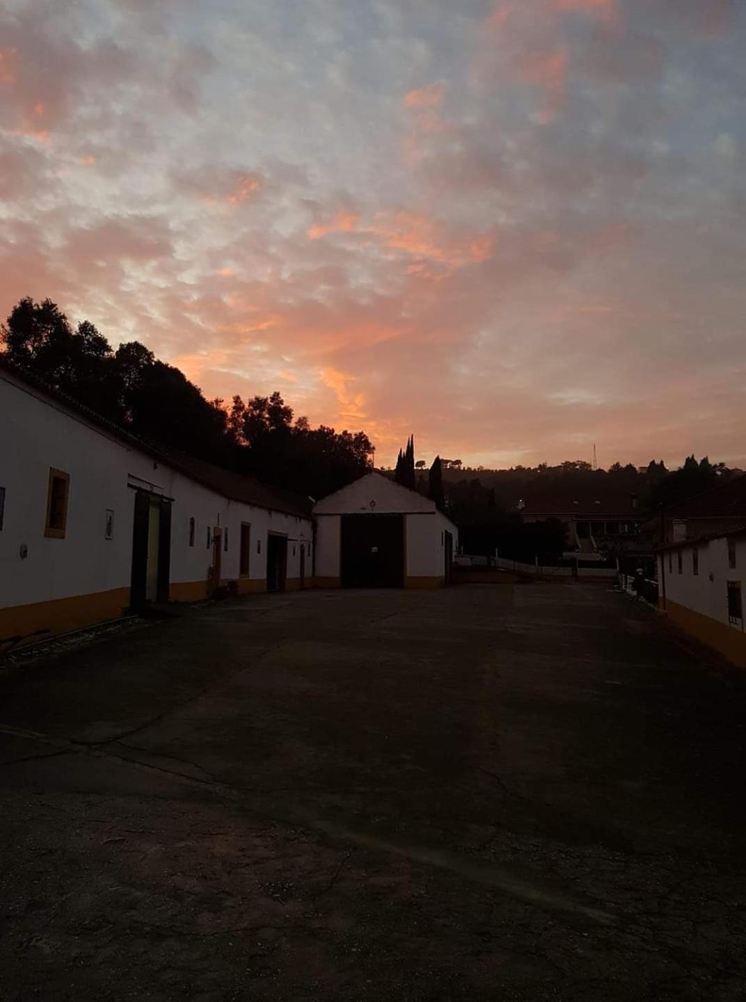 Horse Riding Country House Vila Franca de Xira Εξωτερικό φωτογραφία