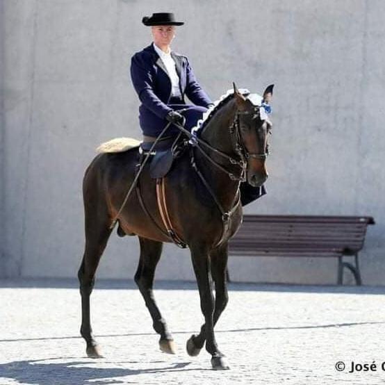 Horse Riding Country House Vila Franca de Xira Εξωτερικό φωτογραφία
