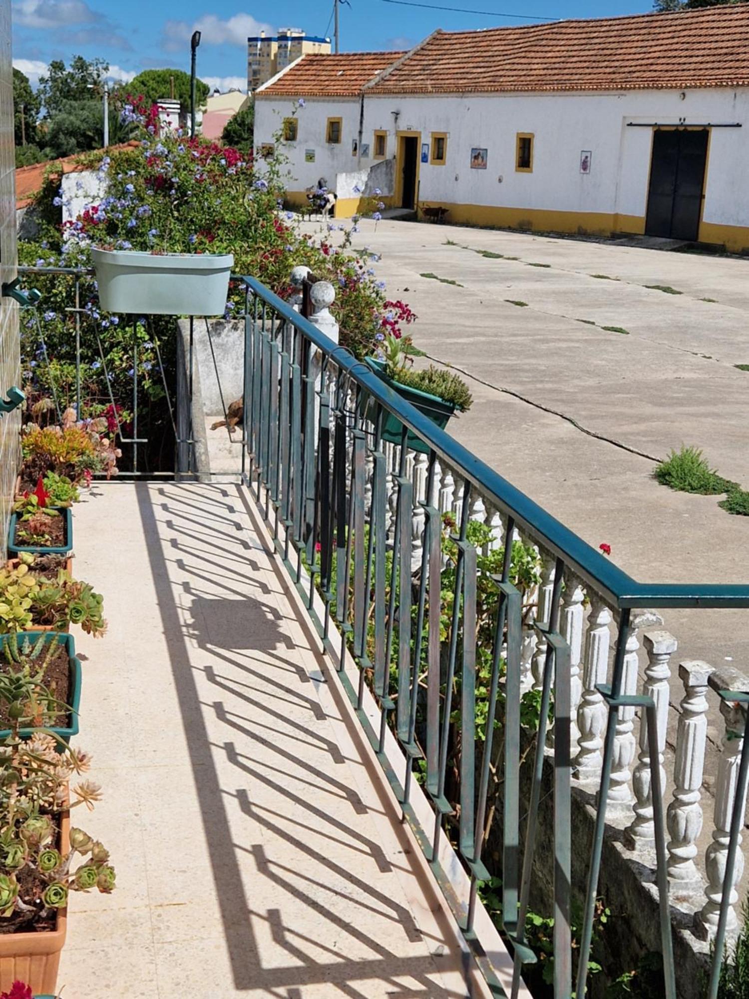 Horse Riding Country House Vila Franca de Xira Εξωτερικό φωτογραφία