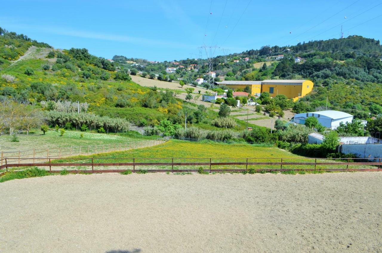 Horse Riding Country House Vila Franca de Xira Εξωτερικό φωτογραφία